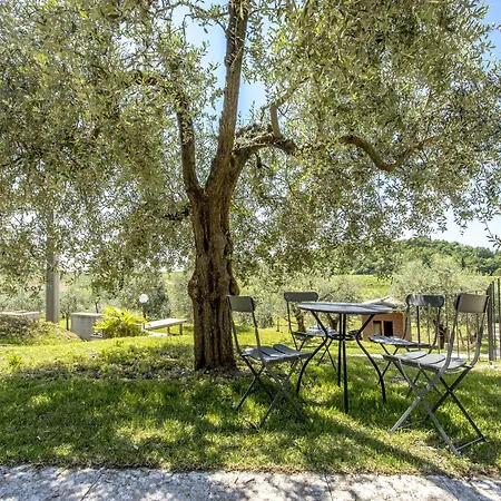 Fontanelle 4*